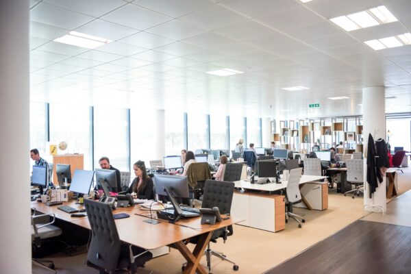 40. Building a Better Future with Diversity and Inclusion in the Workplace people working